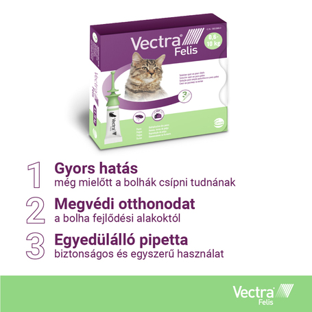 Vectra Felis bolhák elleni spot on macskáknak