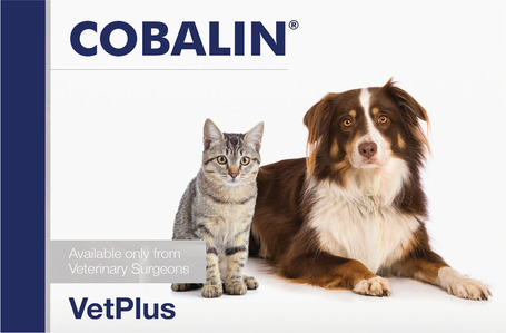 Cobalin B-vitamin kapszula Cobalin B-vitamin kapszula
