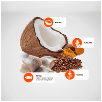 N&D Dog Grain Free Quinoa Skin & Coat Herring – Bőr- és szőrproblémákra | Szuperprémium kutyaeledel #2