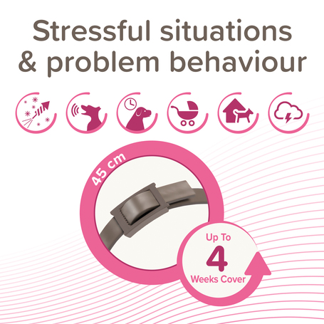 Beaphar CaniComfort feromonos nyugtató nyakörv kölyökkutyáknak