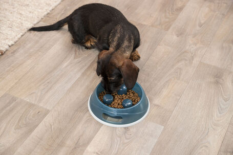 Trixie műanyag evéslassító tál