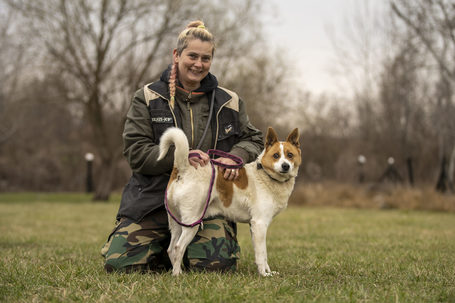 Foltos, 6 éves, 46 cm magas, kan