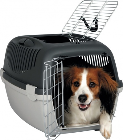 Kutyaszállító box