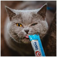 Inaba Cat Churu püré mix macskáknak #4