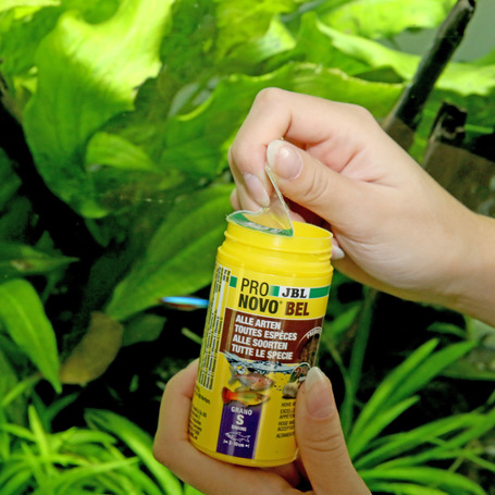 JBL ProNovo Bel Grano (Click)