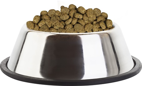 Eukanuba Intestinal Disorders száraz gyógytáp kutyáknak emésztőszervi problémák esetén