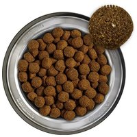 Belcando Baseline Buddy - Normál aktivitású kutyáknak #2