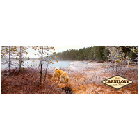 CarniLove Adult Salmon | Szuperprémium lazacos táp felnőtt kutyáknak #6