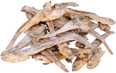 Trixie szárított sprotni