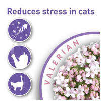 Beaphar Calming Cat Treats stresszoldó macskáknak #2