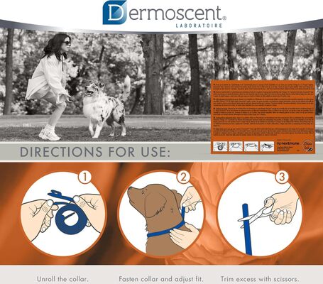 Dermoscent Aromacalm nyakörv kutyáknak