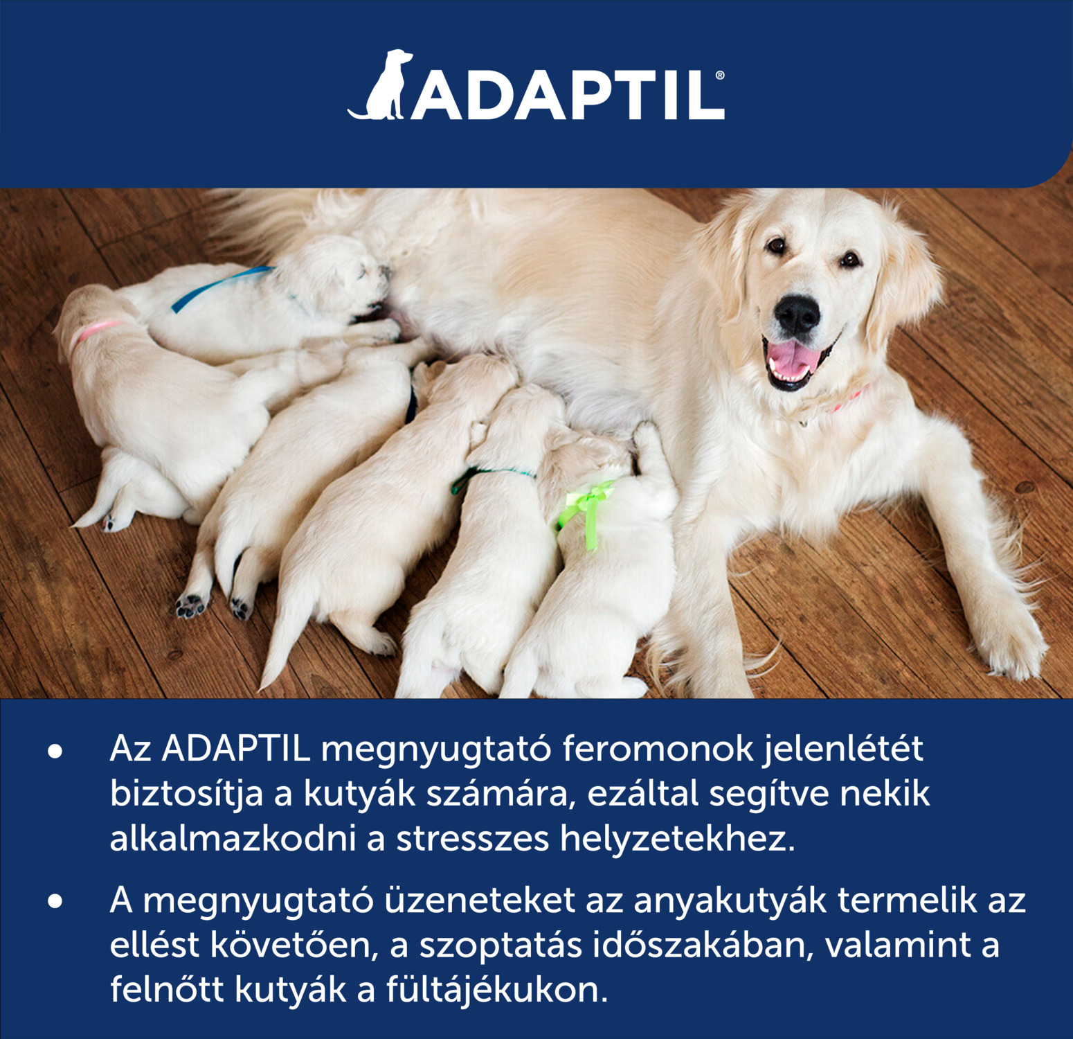 Adaptil nyugtató hatású párologtató készülék és utántöltő | Kutyáknak