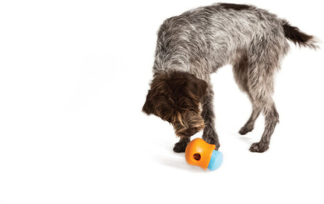 West Paw Toppl - Jutalomfalattal tölthető kutyajáték