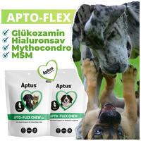Aptus Apto-Flex Chew glükozamint, MSM-et és kondroitin-t tartalmazó rágótabletta #3