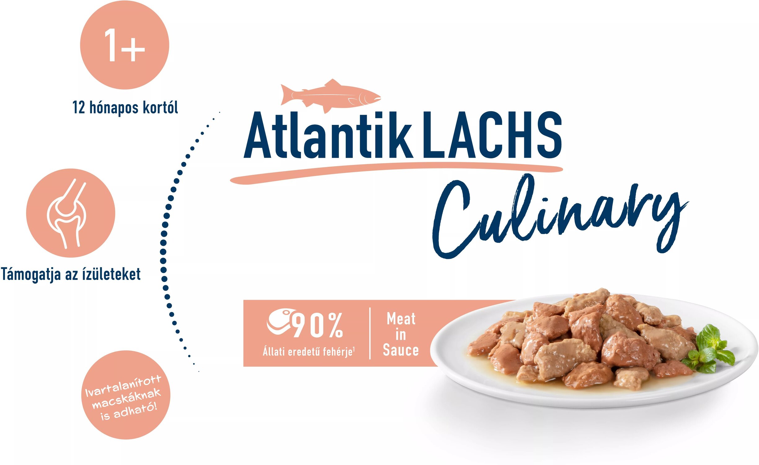 Happy Cat Meat in Sauce Atlantik-Lachs | Hrană pentru pisici cu somon delicios la pliculeț - zoom