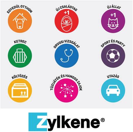 Zylkéne nyugtató kapszula közepes és nagytestű kutyáknak