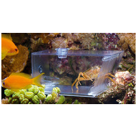 Aqua Medic rák és egyéb kártevő csapda #3