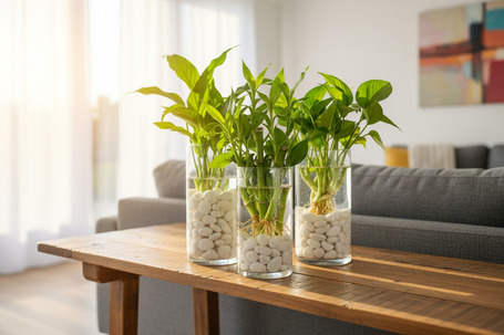 Fehér gyöngykavics