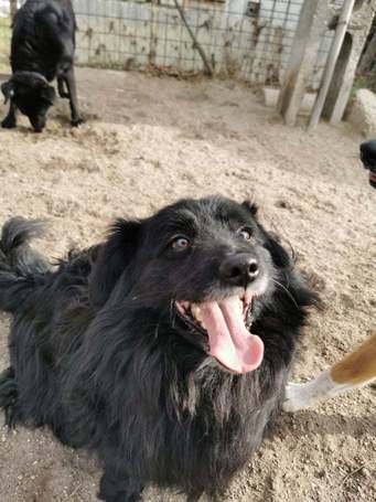 Luke, 6 éves, 40 cm magas, kan