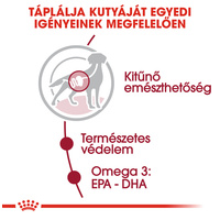 Royal Canin Medium Adult - Nedves táp közepes testű felnőtt kutya részére #2