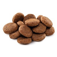 Brit Premium Senior Large / Extra Large #2