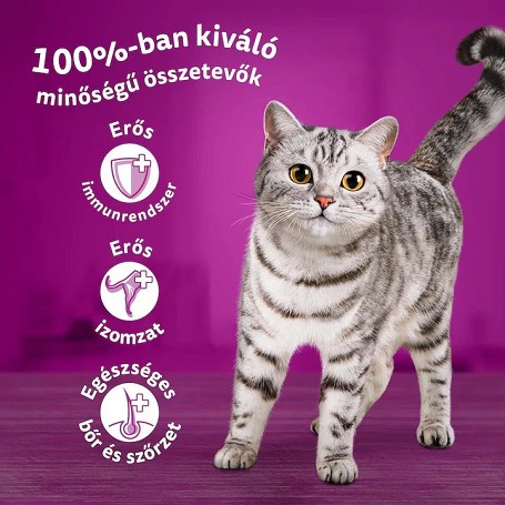 Whiskas klasszikus tasakos válogatás, szószos, 80 x 85 g