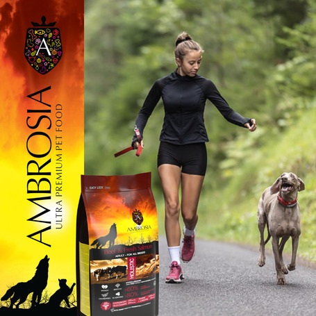 Ambrosia Dog Adult GF Beef & Fresh Salmon