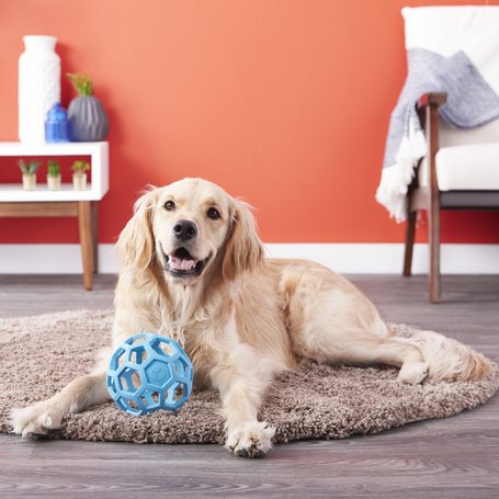 JW Hol-ee Roller labda kutyáknak