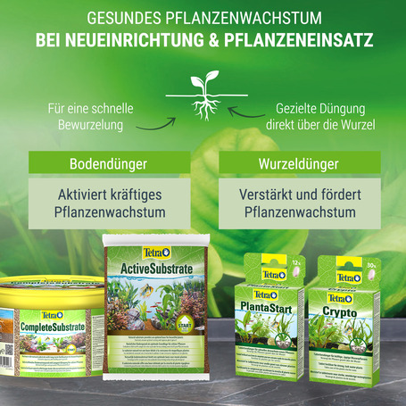 Tetra Crypto tápanyag-tabletták akváriumi növényeknek