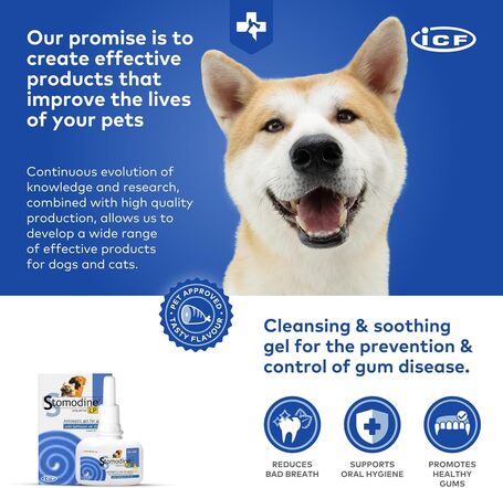 Stomodine L.P. antibakteriális szájfertőtlenítő gél kutyáknak és macskáknak