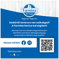 N&D Dog Grain Free Quinoa Skin & Coat Herring – Bőr- és szőrproblémákra | Szuperprémium kutyaeledel #9