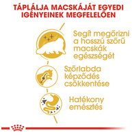 Royal Canin Persian Adult - Perzsa felnőtt macska száraz táp #4