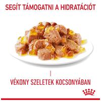 Royal Canin Appetite Control Care - Zselés nedves táp felnőtt macskák részére az étvágy szabályozásának segítésére #3