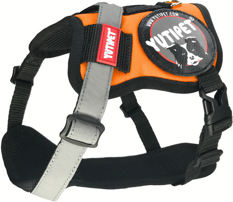 Yutipet RnD párnázott biztonsági kutyahám (Narancssárga)