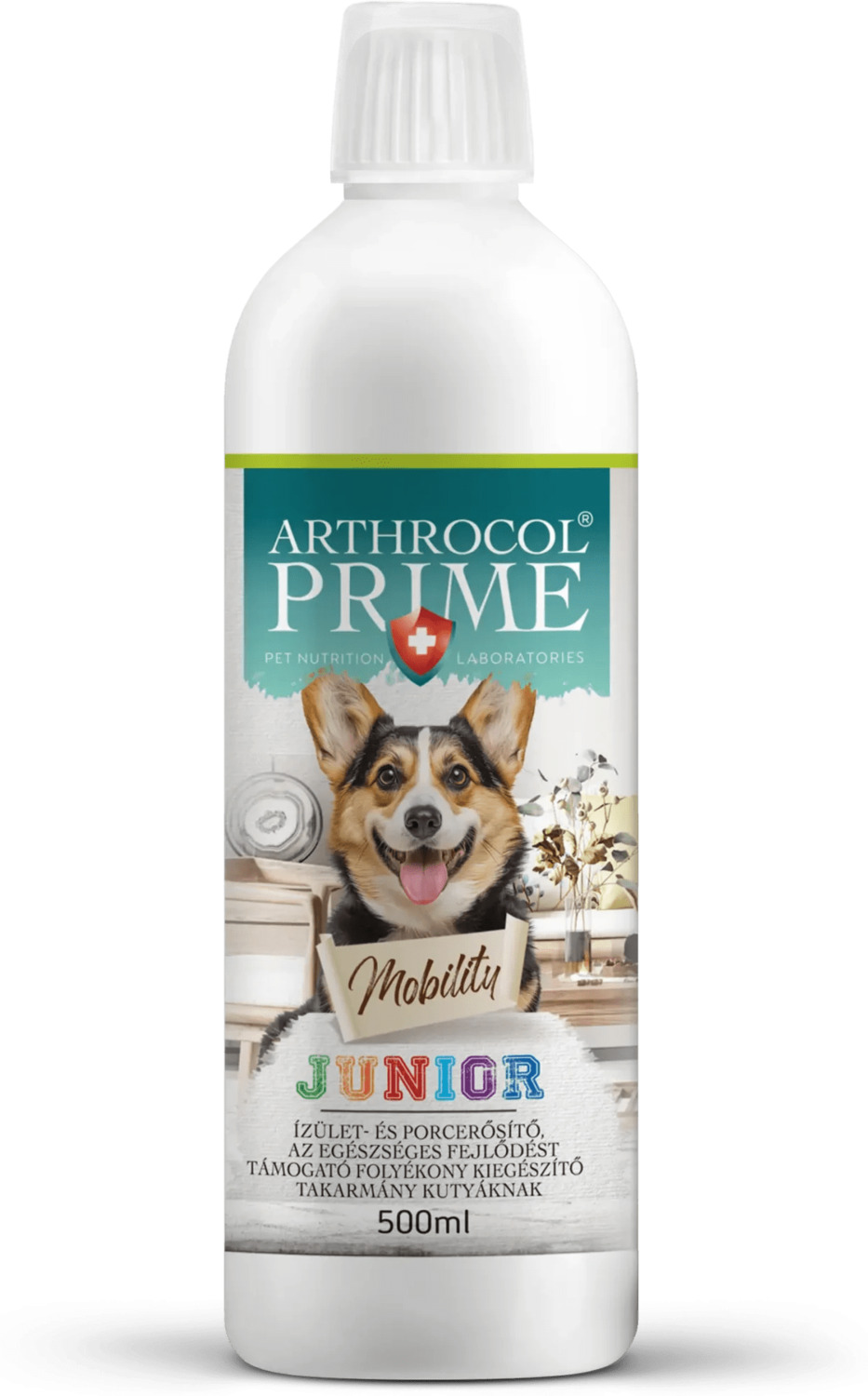 Arthrocol Rocky sirop de întărire a articulațiilor și cartilajelor