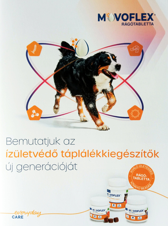 Movoflex ízületvédő rágótabletta