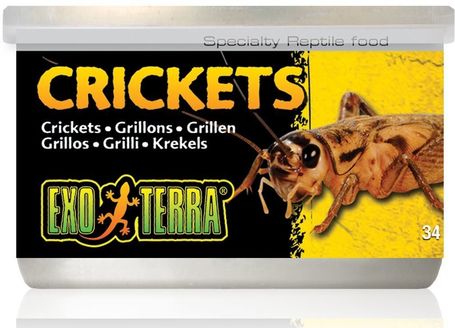 Exo Terra Crickets – Puhára főzött kis tücskök hüllőknek
