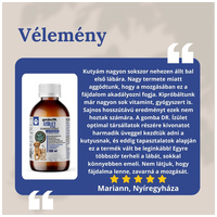 Gomba DR. ÍZÜLET OPTIMAL folyékony gombakivonat #2