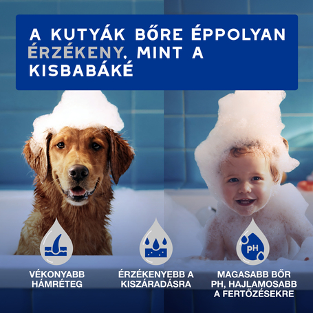 Douxo Spa nedves törlőkendő kutyáknak és macskáknak