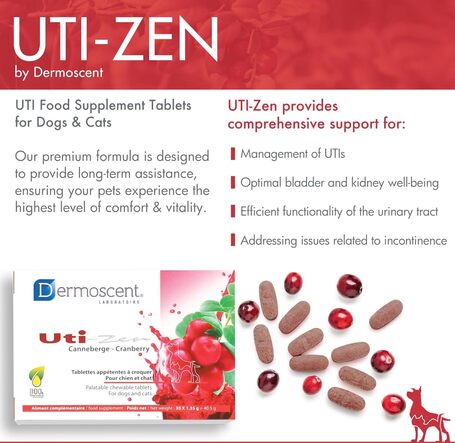 Dermoscent Uti-Zen kutyáknak és macskáknak