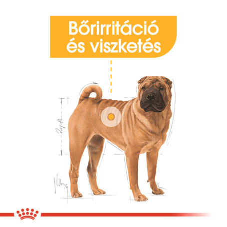 Royal Canin Medium Dermacomfort - Száraz táp bőrirritációra hajlamos, közepes testű felnőtt kutyák részére