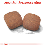 Royal Canin Giant Adult - óriás testű felnőtt kutya száraz táp #4