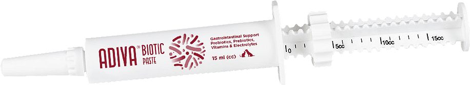 VetNova ADIVA Biotic pre- és probiotukum