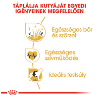 Royal Canin Golden Retriver Adult - Golden Retriever felnőtt kutya száraz táp #4