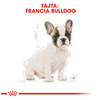 Royal Canin French Bulldog Junior - Francia Bulldog kölyök kutya száraz táp #2