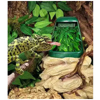 Repti-Zoo műszikla edény DF01 csobogóhoz #4