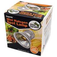 Giangarden Mini Halogen Spot Lamp terrárium izzó