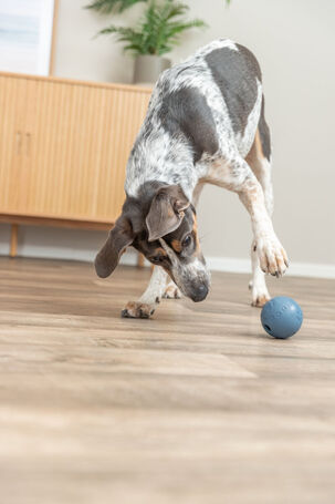 Trixie Dog Activity snack labda