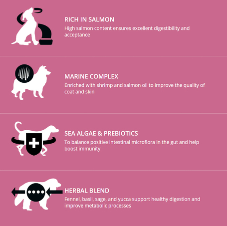 Profine Adult Salmon & Potatoes | Hipoallergén felnőtt kutyatáp lazachússal és burgonyával