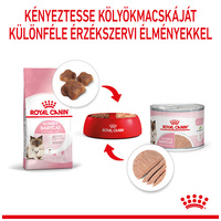Royal Canin Babycat Instinctive - Kölyök macska pépes nedves táp #4